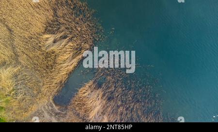 Aerial view of lake and reeds. Lake Sapanca in Turkey. Lake water level ...