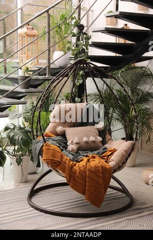 Indoor terrace interior with hanging chair and green plants Stock Photo