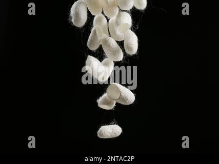 White silk cocoons falling on black background Stock Photo