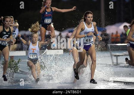 https://l450v.alamy.com/450v/2ntb6d1/furmans-gabrielle-jennings-497-competes-in-the-womens-3000-meter-steeplechase-event-during-the-east-preliminaries-of-the-ncaa-division-i-track-field-championships-friday-may-24-2019-in-jacksonville-fla-phelan-m-ebenhack-via-ap-2ntb6d1.jpg