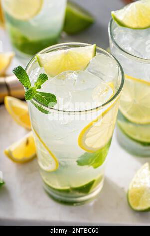 Lemon and lime mojito cocktail in tall glasses with lime and fresh mint Stock Photo