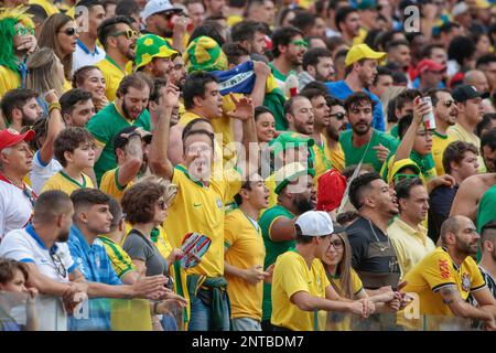 SÃO PAULO, SP - 22.06.2019: TORCIDA ACOMPANHA O JOGO DO BRASIL - Fans from  Brazil and Peru watch the Copa America game this Saturday, (22) at the  Brahma Arena, set up at