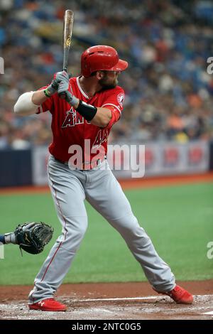 ST. PETERSBURG, FL - JUN 15: Angels Manager Brad Ausmus watches the action  on the field during the MLB regular season game between the Los Angeles  Angels and the Tampa Bay Rays