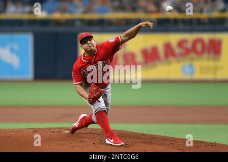 ST. PETERSBURG, FL - JUN 15: Angels Manager Brad Ausmus watches the action  on the field during the MLB regular season game between the Los Angeles  Angels and the Tampa Bay Rays