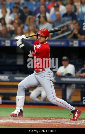 ST. PETERSBURG, FL - JUN 15: Angels Manager Brad Ausmus watches the action  on the field during the MLB regular season game between the Los Angeles  Angels and the Tampa Bay Rays