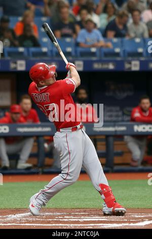 ST. PETERSBURG, FL - JUN 15: Angels Manager Brad Ausmus watches the action  on the field during the MLB regular season game between the Los Angeles  Angels and the Tampa Bay Rays