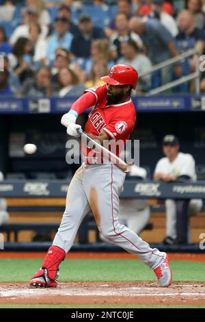 ST. PETERSBURG, FL - JUN 15: Angels Manager Brad Ausmus watches the action  on the field during the MLB regular season game between the Los Angeles  Angels and the Tampa Bay Rays