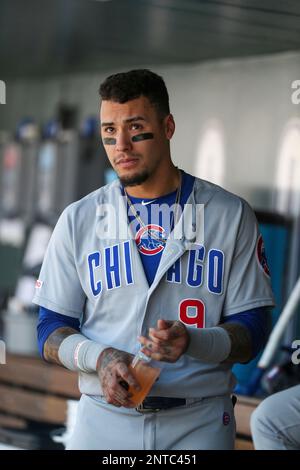 Chicago Cubs shortstop Javier Baez (9) prepares for the game against the  Colorado Rockies, June 12, 2019 in Denver. (Margaret Bowles via AP Images  Stock Photo - Alamy