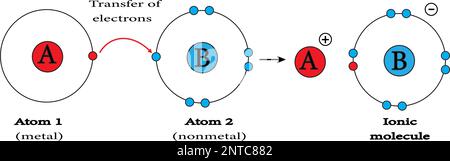 ionic bond: sodium chloride, or table salt. vector image Stock Vector