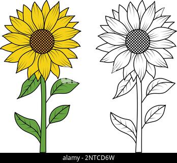 Sunflower Clipart | Sunflower SVG | Sunflower SVG Cut File | Sunflower