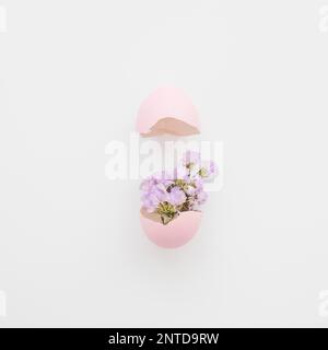 lovely flowers eggshell. High resolution photo Stock Photo