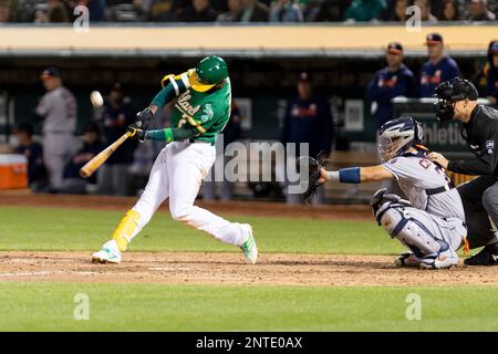 Oakland Athletics' Jurickson Profar makes a diving catch of a blooper  News Photo - Getty Images