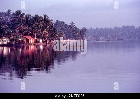 Backwaters of Kollam Quilon, Kerala, South India, India, Asia Stock Photo