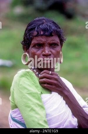 Tribal Paniya Woman at Wayanad, Kerala, South India, India, Asia Stock ...