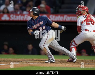 St. Petersburg, FL. USA; Minnesota Twins first baseman Willians