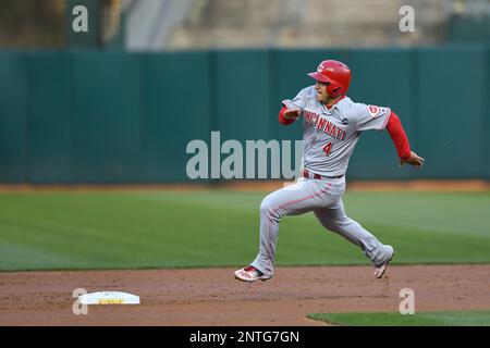 OAKLAND, CA - MAY 08: Oakland Athletics Infield Jurickson Profar (23) looks  down the baseline during the MLB game between the Cincinnati Reds and the  Oakland Athletics on May 8, 2019 at