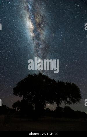 The Milky Way seen in Zimbabwe's Mana Pools National Park. Stock Photo
