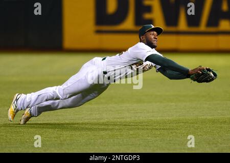 Oakland Athletics' Jurickson Profar makes a diving catch of a blooper  News Photo - Getty Images