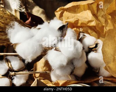 cotton buds on stems lie on craft paper among the rest of the decor for needlework Stock Photo