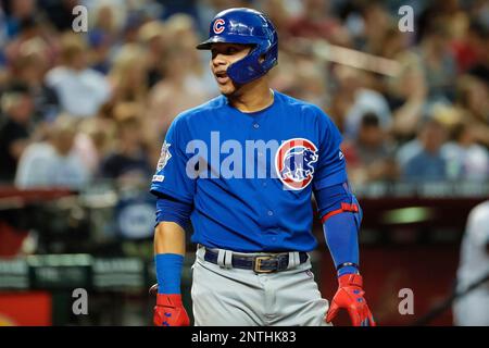 5 Willson Contreras Images, Stock Photos & Vectors