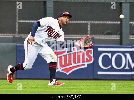 FILE - In this April 18, 2019, file photo, Minnesota Twins' Willians  Astudillo is shown during a baseball game against the Toronto Blue Jays, in  Minneapolis. The most popular player on the