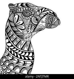 Camel head side position mandala zentangle coloring page illustration for your company or brand Stock Vector