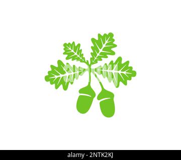 Oak, oak branch with leaves and acorns, silhouette and graphic design. Plant, nature, foliage, leaf, nut and seed, vector design and illustration Stock Vector