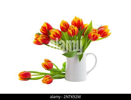 Spring bouquet of red yellow tulip in white jug isolated on white background. Flower bouquet. Stock Photo