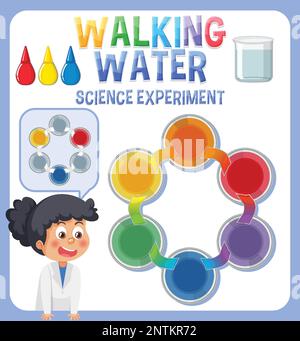 Walking Water Science Experiment illustration Stock Vector