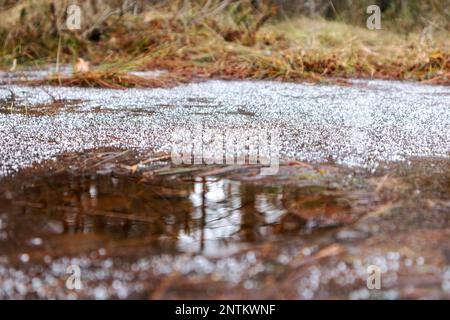 Small white snowflakes on a frozen brownish puddle of ice Stock Photo
