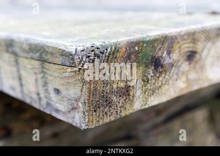 Pine wood board with wood structure in green weathered wood color Stock Photo