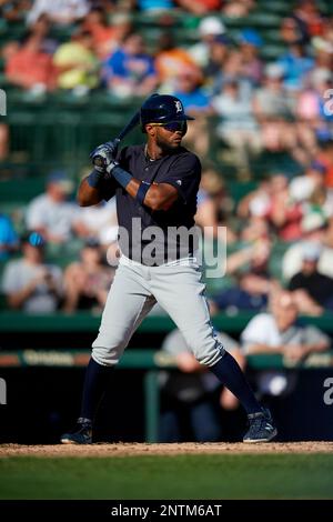 Willi Castro Tigers shortstop Spring Training