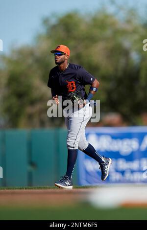 Willi Castro Tigers shortstop Spring Training