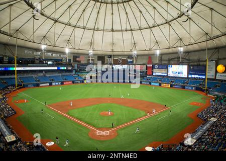 Tampa Bay Rays Museum NEW at Tropicana Field 2022! MLB BALLPARK - Tampa Bay  RAYS vs Detroit TIGERS 