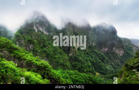 Jungle in Madeira island - Views from the trekking trail on the cliffs at Levada do Caldeirao Verde, Queimadas, Portugal Stock Photo