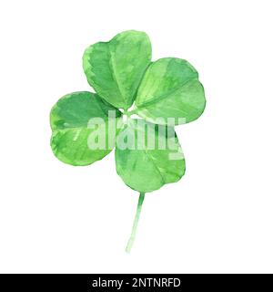 Watercolor hand drawn illustration of four leaf clover isolated. Lucky shamrock for Saint Patrick Day decor. Design for backgrounds, covers, prints Stock Photo