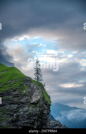 A lonely tree stands on a cliff under cloudy sky Stock Photo