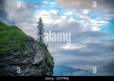 A lonely tree stands on a cliff under cloudy sky Stock Photo