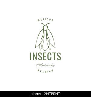animal insect grasshopper cricket lines art hipster logo design vector icon Stock Vector