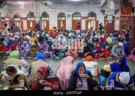 Pilgrims eating in the dinning room of Golden Temple, Each day the volunteers serve food for 60,000 - 80,000 pilgrims, Golden temple, Amritsar, Punjab Stock Photo