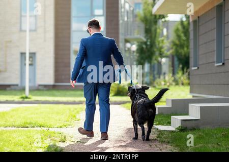 Back view of man walking his dog on a leash. Stock Photo
