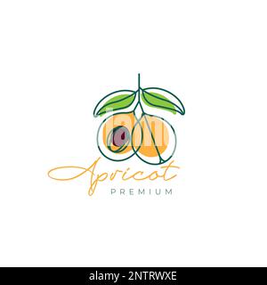 fresh fruit sweet apricot food lines abstract minimalist logo design vector icon illustration Stock Vector