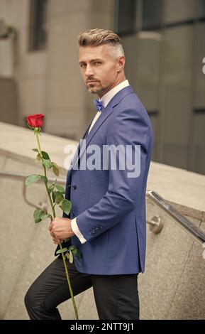 valentines day concept. mature tuxedo man with valentines rose. flower gift for valentines day. Stock Photo