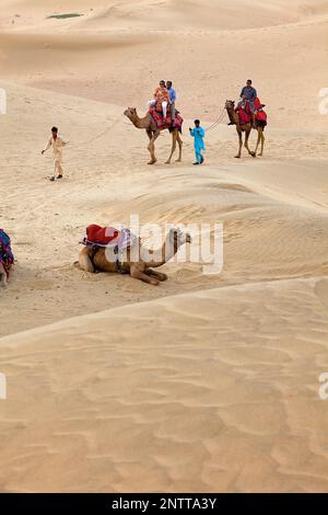 Tourists riding camels on Sam dunes in Desert National Park in the Great Thar Desert,near Jaisalmer, Rajasthan, India