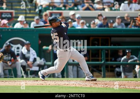 New York Yankees shortstop Gleyber Torres (25) and third baseman Miguel  Andujar (41) during a Grapefruit League Spring Training game against the  Detroit Tigers on February 27, 2019 at Publix Field at