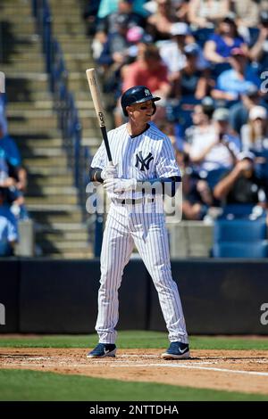 New York Yankees shortstop Troy Tulowitzki (12) during a