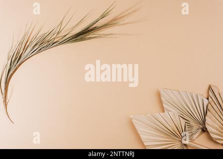 Fan leaves and dried palm leaf on beige background. Top view, flat lay, copy space. Stock Photo