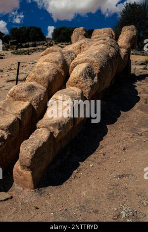 Atlas rests in the sun amid the ruins of an Ancient Greek temple dedicated to his rival Zeus, king of the gods: 8m-long full-size replica of one of 38 telamon pillars that once supported the upper parts of the vast Temple of Olympian Zeus in the Valley of the Temples, the site of the city of Akragas at Agrigento, Sicily, Italy.  The temple was destroyed by Carthaginians, earthquakes and stone-robbing. Stock Photo