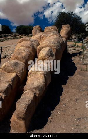 Recumbent giant Atlas statue amid ruins of Ancient Greek temple dedicated to Zeus, father of the gods: 8m-long full-size replica of one of 38 telamon pillars that supported the entablature of the vast Temple of Olympian Zeus in the Valley of the Temples, site of the city of Akragas at Agrigento, Sicily, Italy.  The temple was destroyed by Carthaginians, earthquakes and stone-robbing. Stock Photo