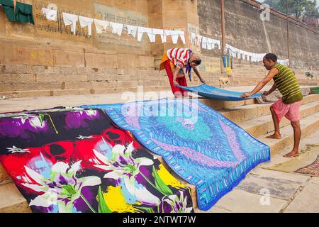 Tending the Laundry for drying, Dasaswamedh Ghat, in Ganges river, Varanasi, Uttar Pradesh, India. Stock Photo